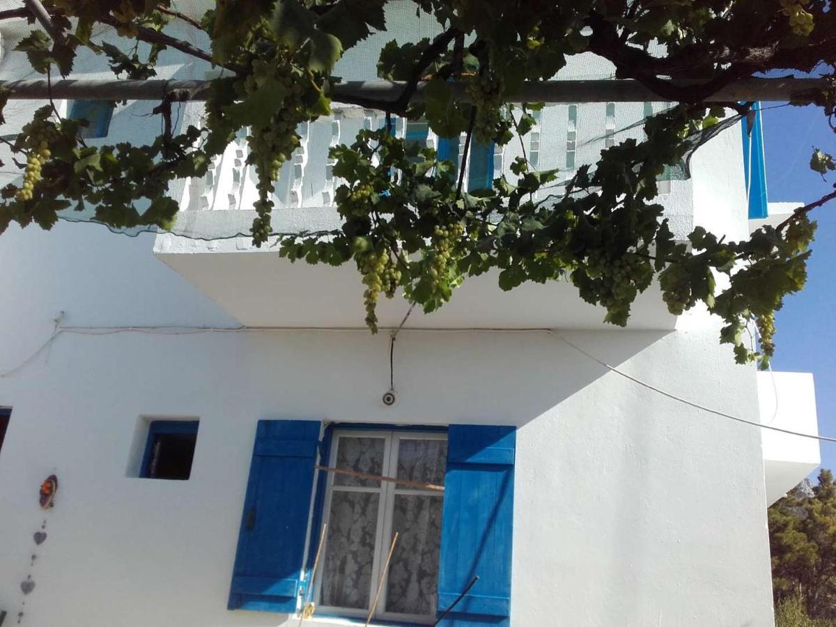 Nikos Apartments Lefkos  Extérieur photo